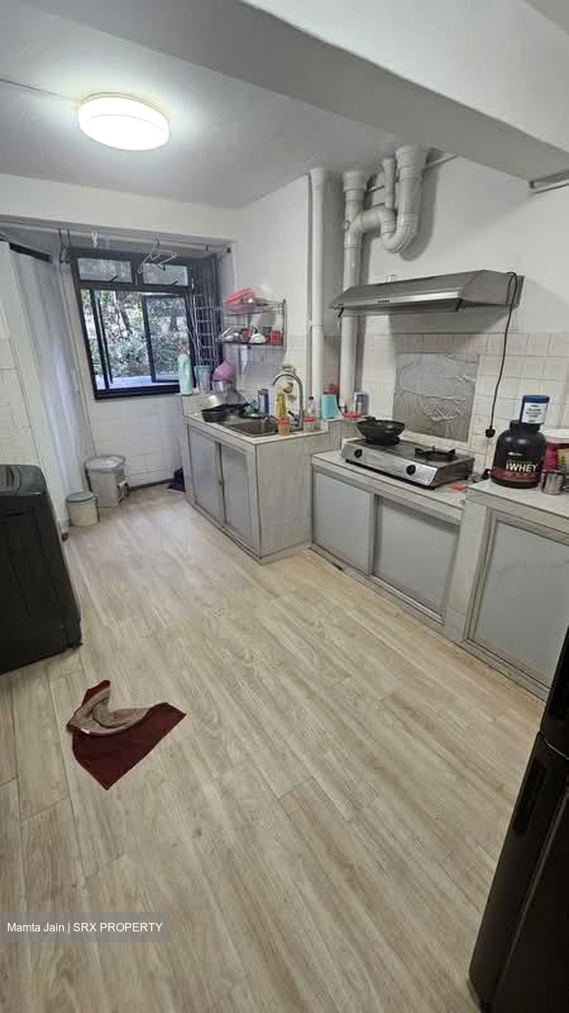 Blk 21 Dover Ville (Queenstown), HDB 3 Rooms #581249251